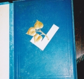 Cover diploma Mucha